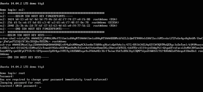 consoleSetup